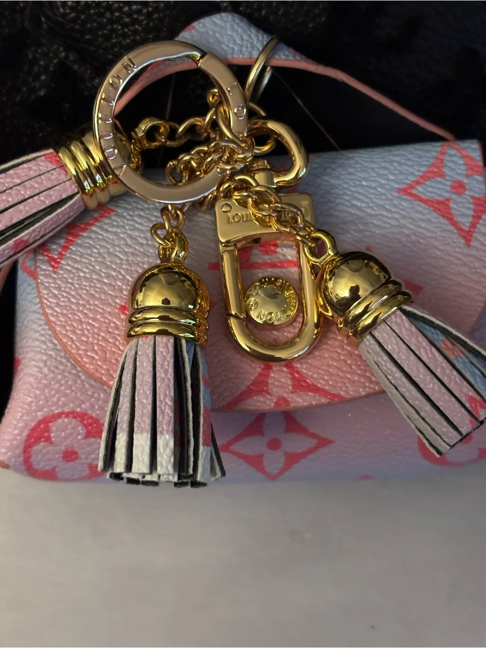 Brand New !  Pink & Light Blue Mini Monogram Key Pouch Charm 👇